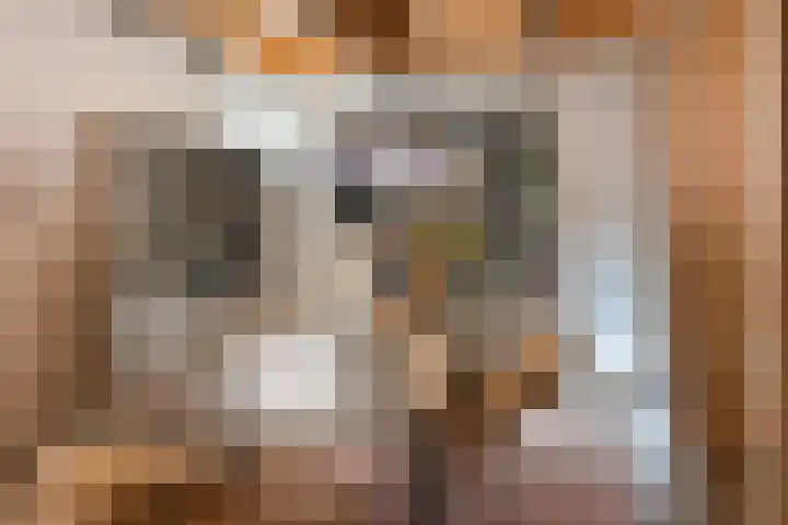 Anton van Duinkerkenlaan 65 De Meern thumbnail 108
