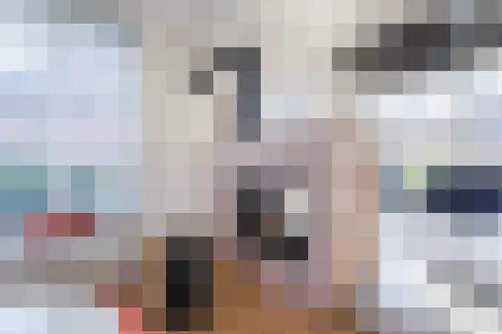 Anton van Duinkerkenlaan 65 De Meern thumbnail 11