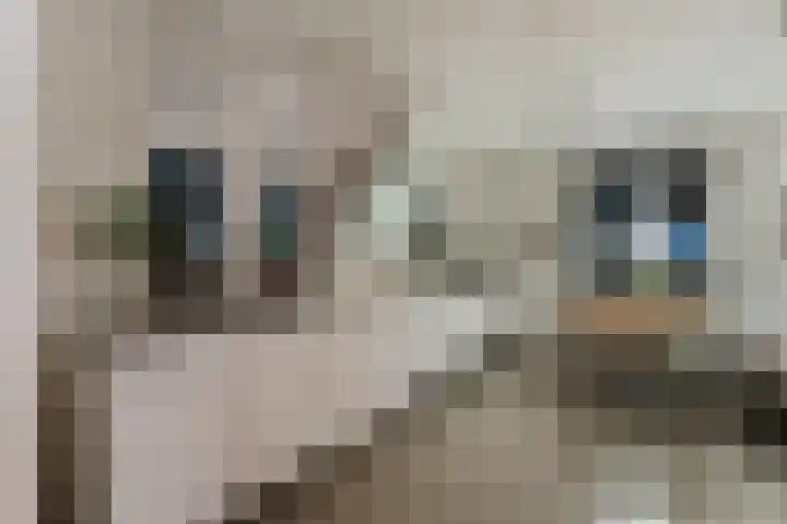 Anton van Duinkerkenlaan 65 De Meern thumbnail 111
