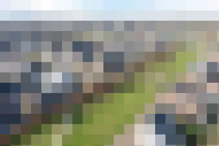 Anton van Duinkerkenlaan 65 De Meern thumbnail 113