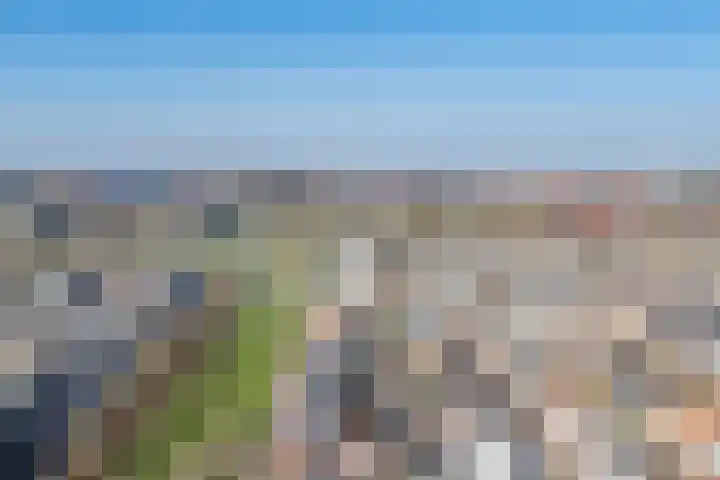 Anton van Duinkerkenlaan 65 De Meern thumbnail 116