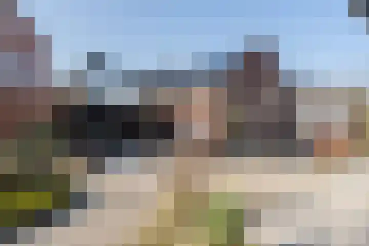 Anton van Duinkerkenlaan 65 De Meern thumbnail 29
