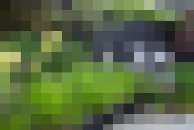 Anton van Duinkerkenlaan 65 De Meern thumbnail 31