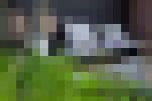 Anton van Duinkerkenlaan 65 De Meern thumbnail 33