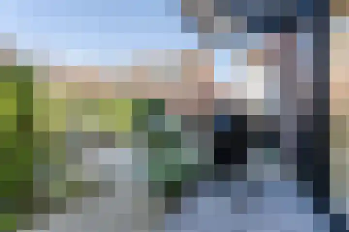 Anton van Duinkerkenlaan 65 De Meern thumbnail 37