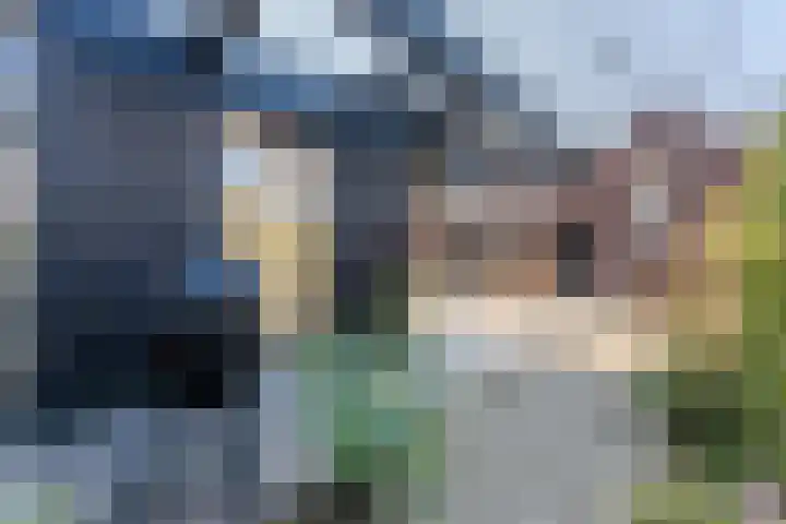 Anton van Duinkerkenlaan 65 De Meern thumbnail 40