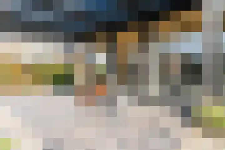 Anton van Duinkerkenlaan 65 De Meern thumbnail 42