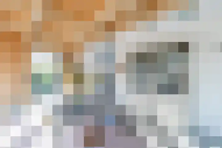 Anton van Duinkerkenlaan 65 De Meern thumbnail 44