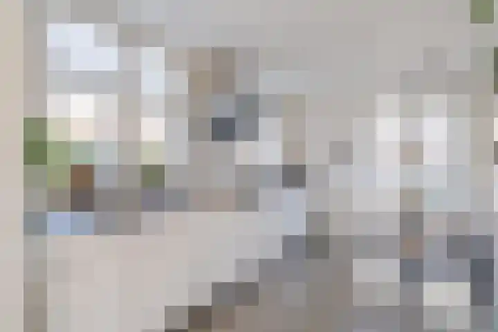 Anton van Duinkerkenlaan 65 De Meern thumbnail 46