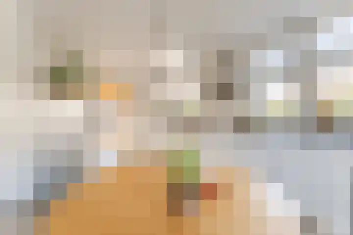 Anton van Duinkerkenlaan 65 De Meern thumbnail 49