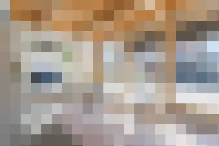 Anton van Duinkerkenlaan 65 De Meern thumbnail 55