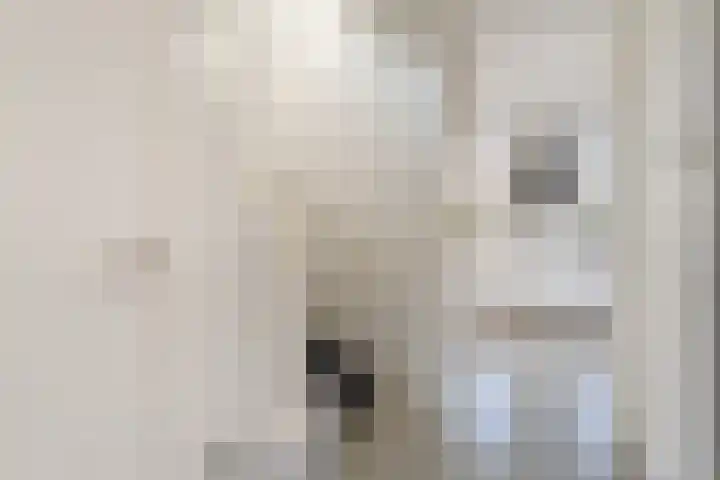 Anton van Duinkerkenlaan 65 De Meern thumbnail 6