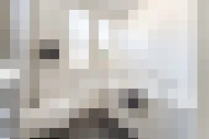 Anton van Duinkerkenlaan 65 De Meern thumbnail 62