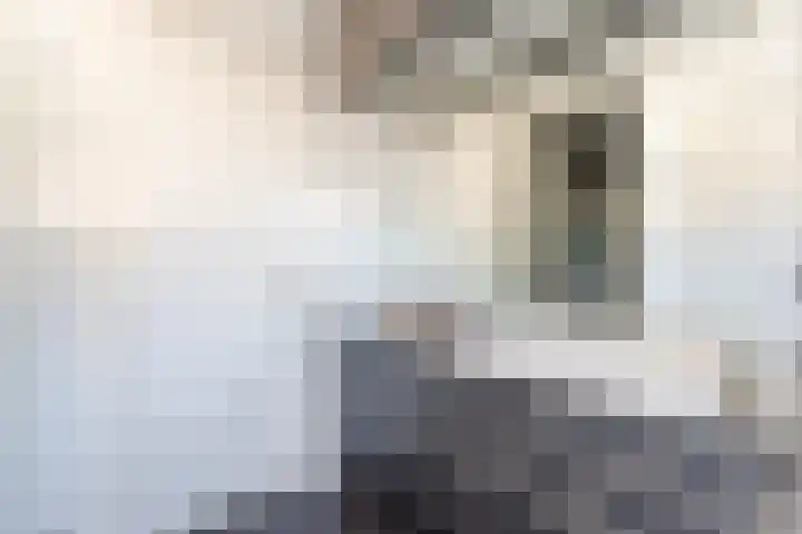 Anton van Duinkerkenlaan 65 De Meern thumbnail 66