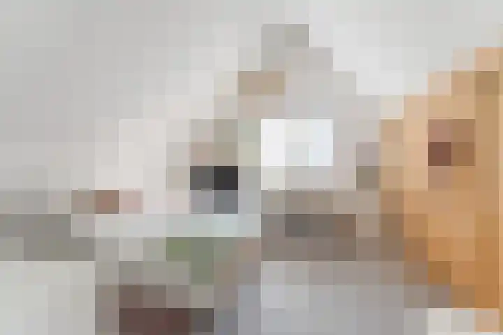 Anton van Duinkerkenlaan 65 De Meern thumbnail 72