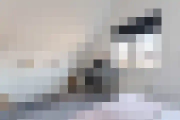 Anton van Duinkerkenlaan 65 De Meern thumbnail 84