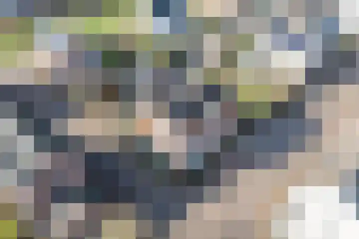 Anton van Duinkerkenlaan 65 De Meern thumbnail 99