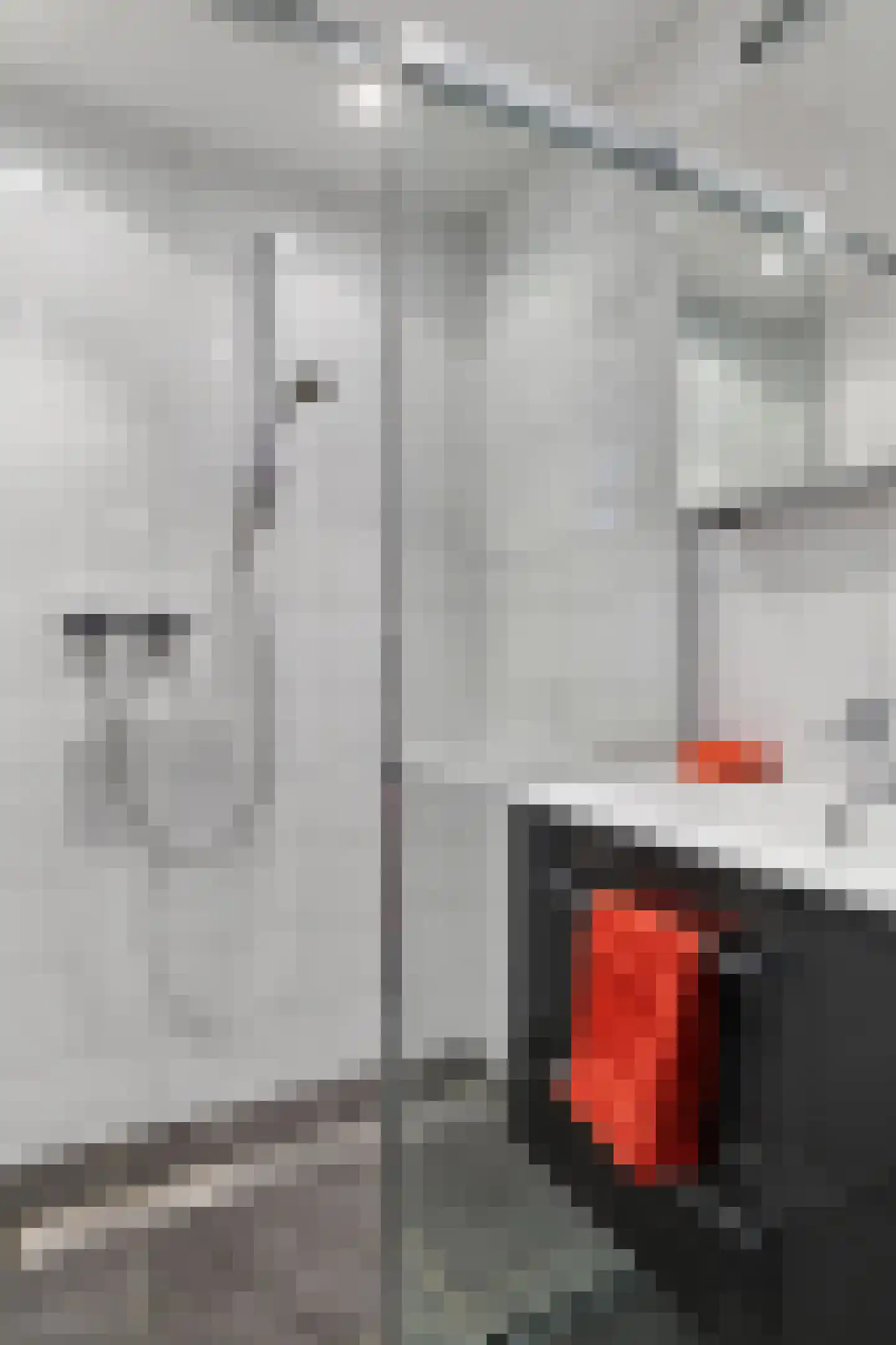 Anton van Duinkerkenstraat 11 Deurne thumbnail 28