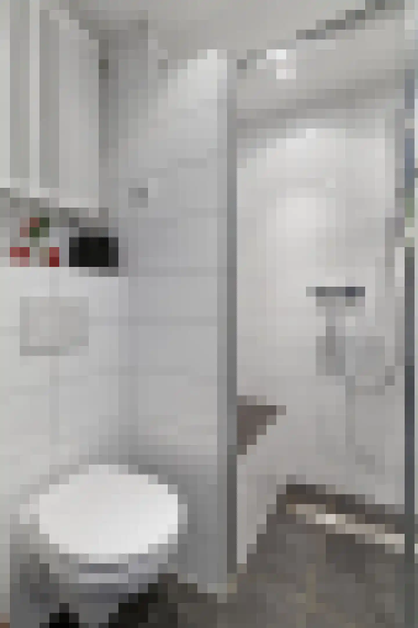 Anton van Duinkerkenstraat 11 Deurne thumbnail 29