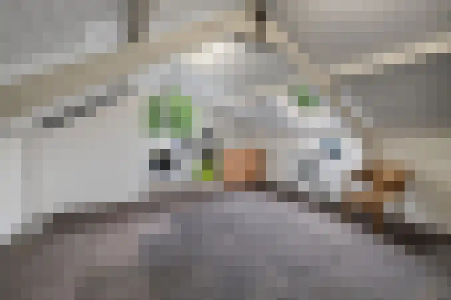 Anton van Duinkerkenstraat 11 Deurne thumbnail 30