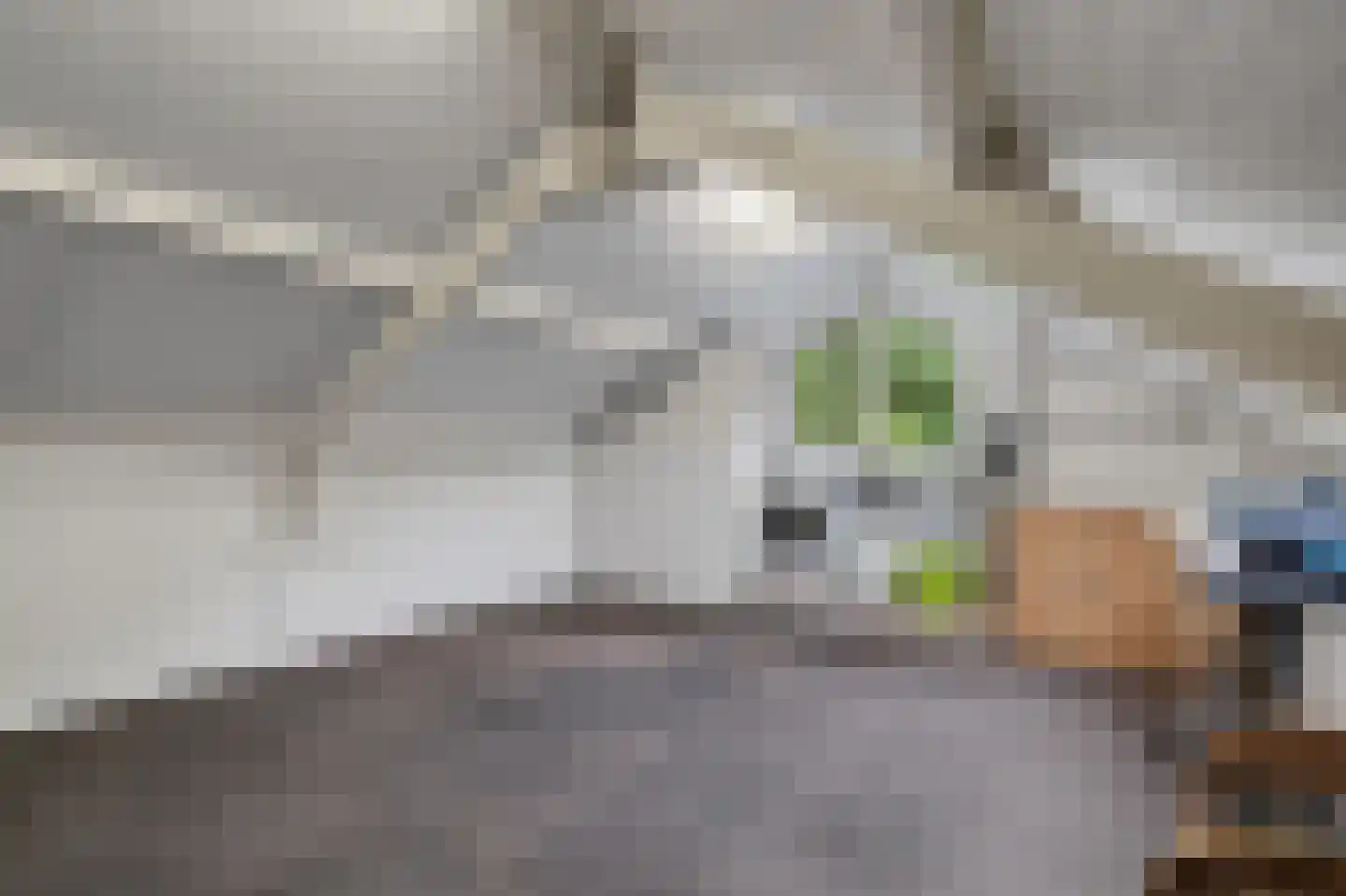 Anton van Duinkerkenstraat 11 Deurne thumbnail 31