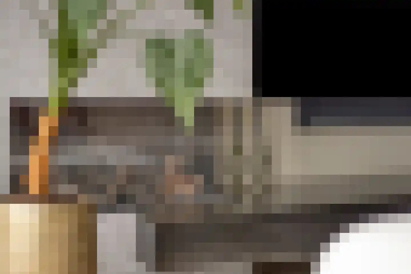 Anton van Duinkerkenstraat 14 Waalwijk thumbnail 10