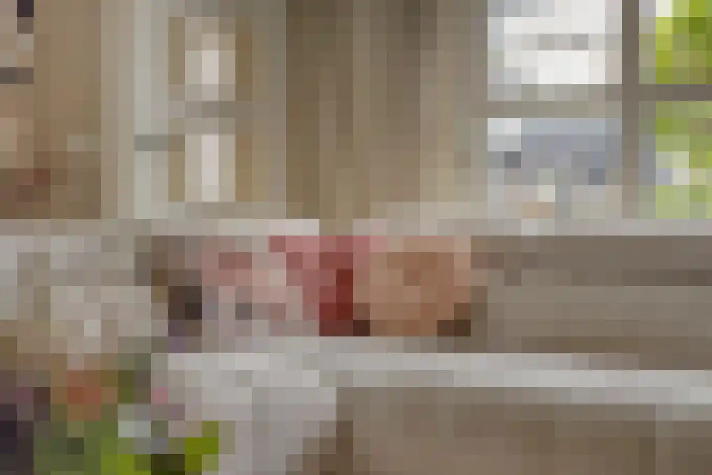 Anton van Duinkerkenstraat 14 Waalwijk thumbnail 13