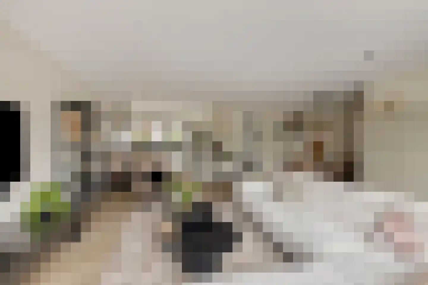 Anton van Duinkerkenstraat 14 Waalwijk thumbnail 15
