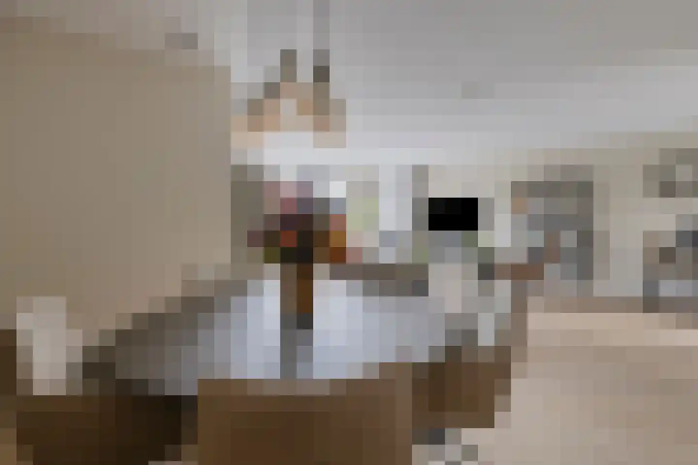 Anton van Duinkerkenstraat 14 Waalwijk thumbnail 17