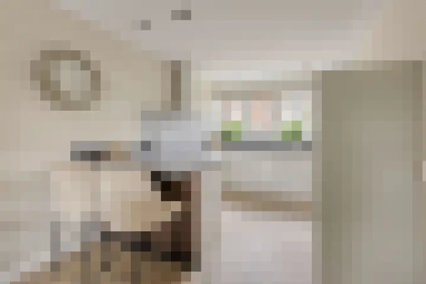 Anton van Duinkerkenstraat 14 Waalwijk thumbnail 19