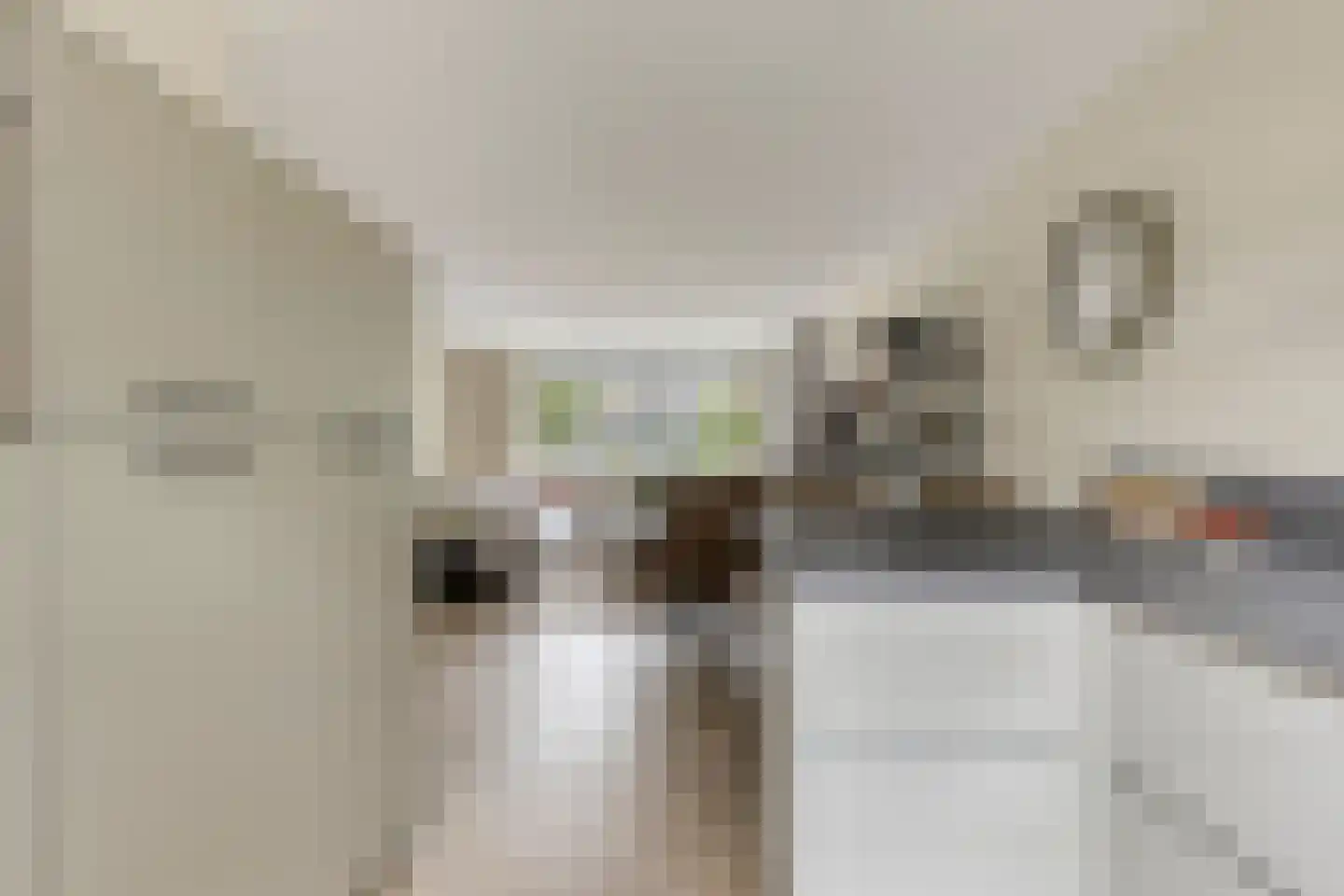 Anton van Duinkerkenstraat 14 Waalwijk thumbnail 23