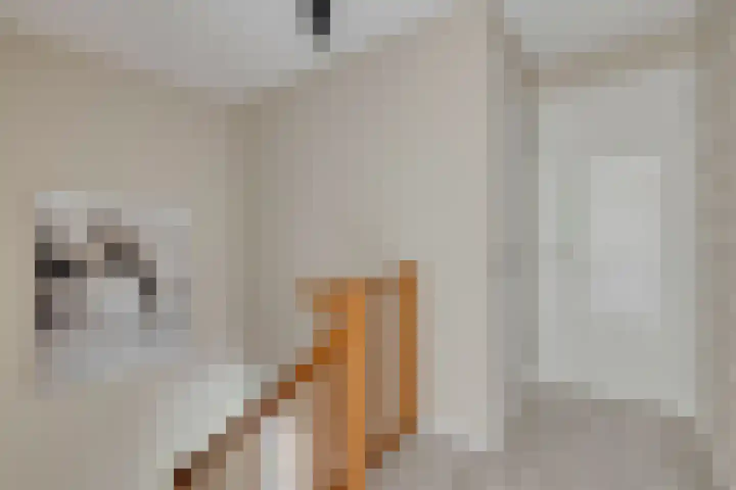Anton van Duinkerkenstraat 14 Waalwijk thumbnail 31