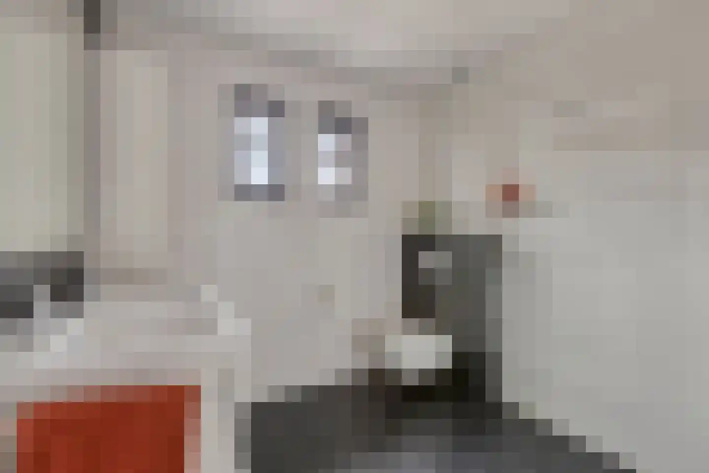 Anton van Duinkerkenstraat 14 Waalwijk thumbnail 34