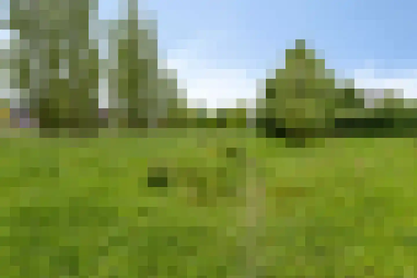 Anton van Duinkerkenstraat 14 Waalwijk thumbnail 52