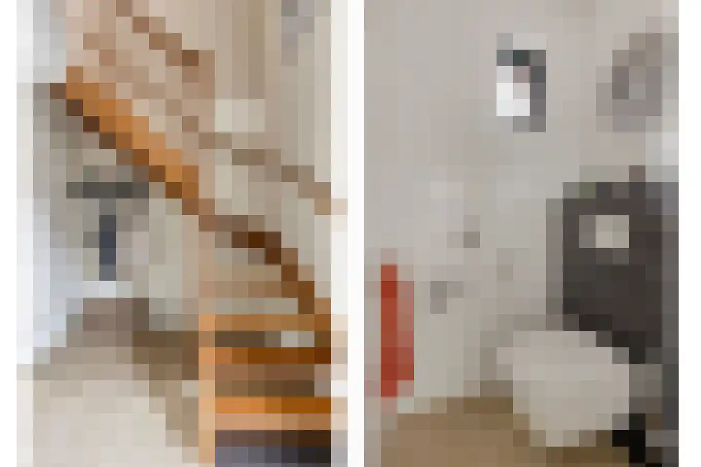 Anton van Duinkerkenstraat 14 Waalwijk thumbnail 7
