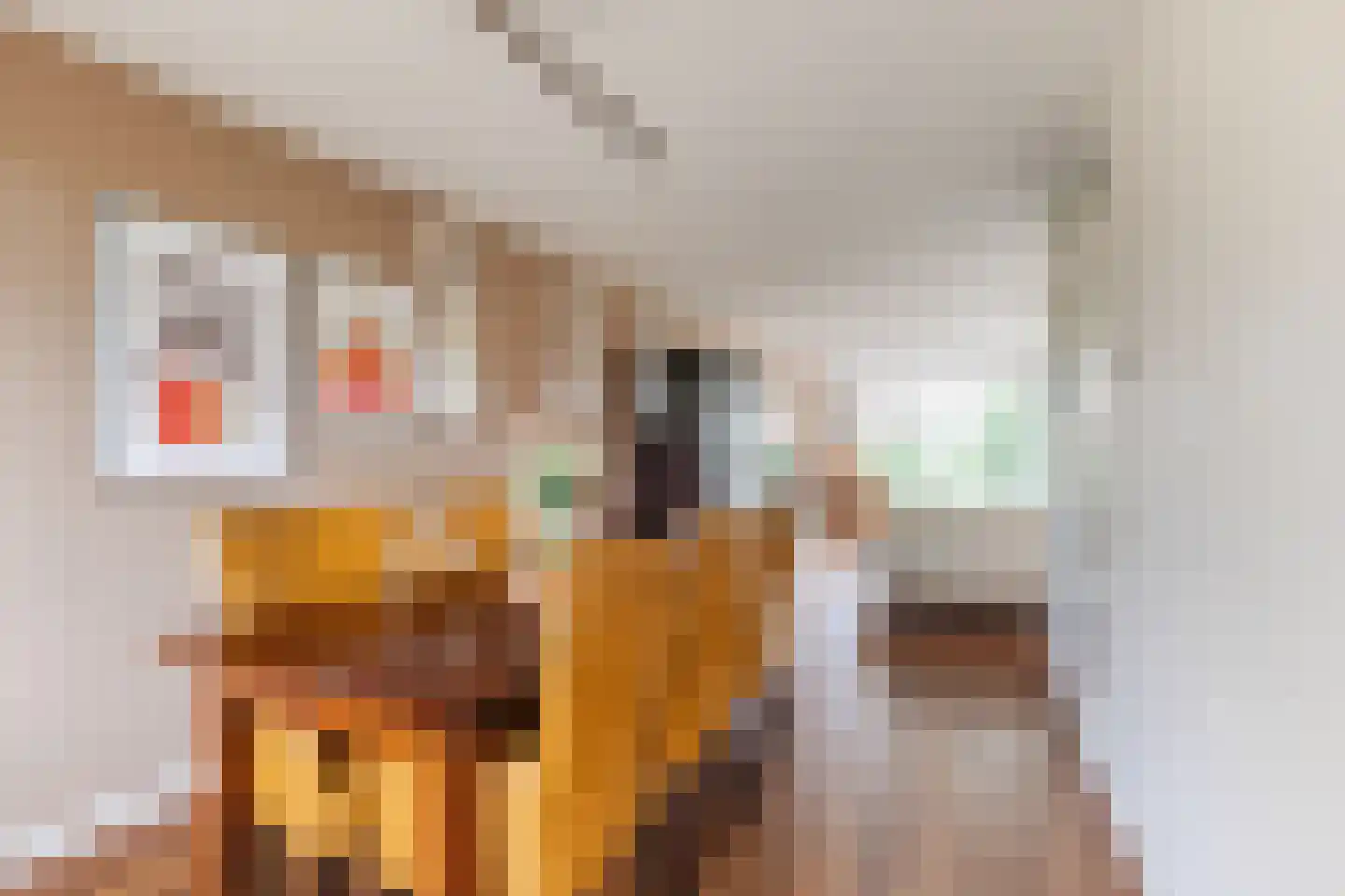 Anton van Duinkerkenstraat 23 Dongen thumbnail 21