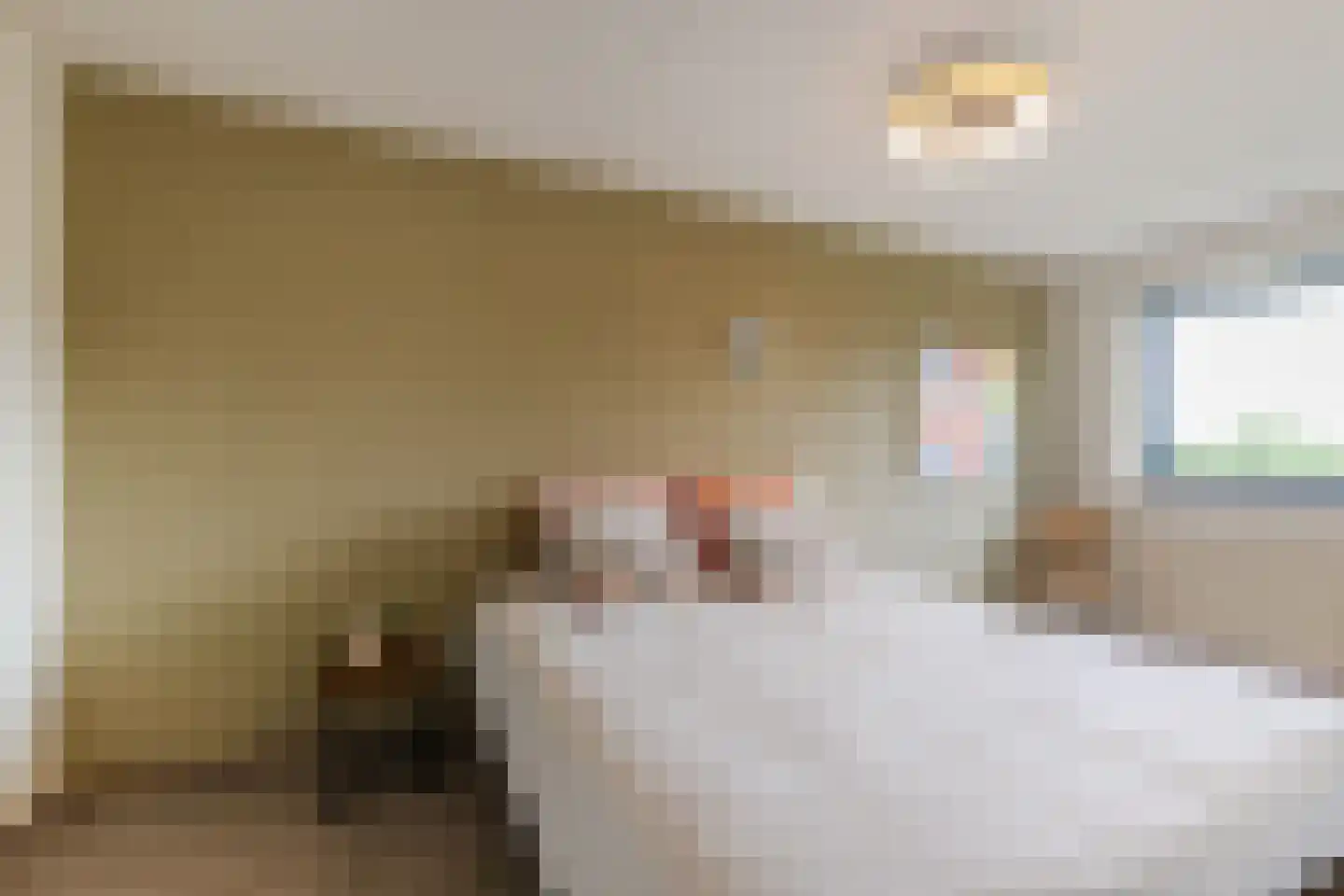 Anton van Duinkerkenstraat 23 Dongen thumbnail 24
