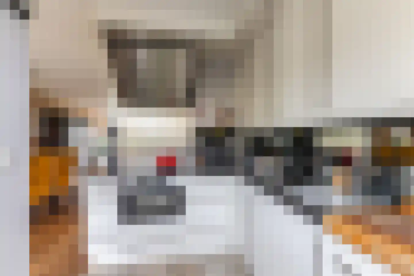 Anton van Duinkerkenstraat 23 Dongen thumbnail 27