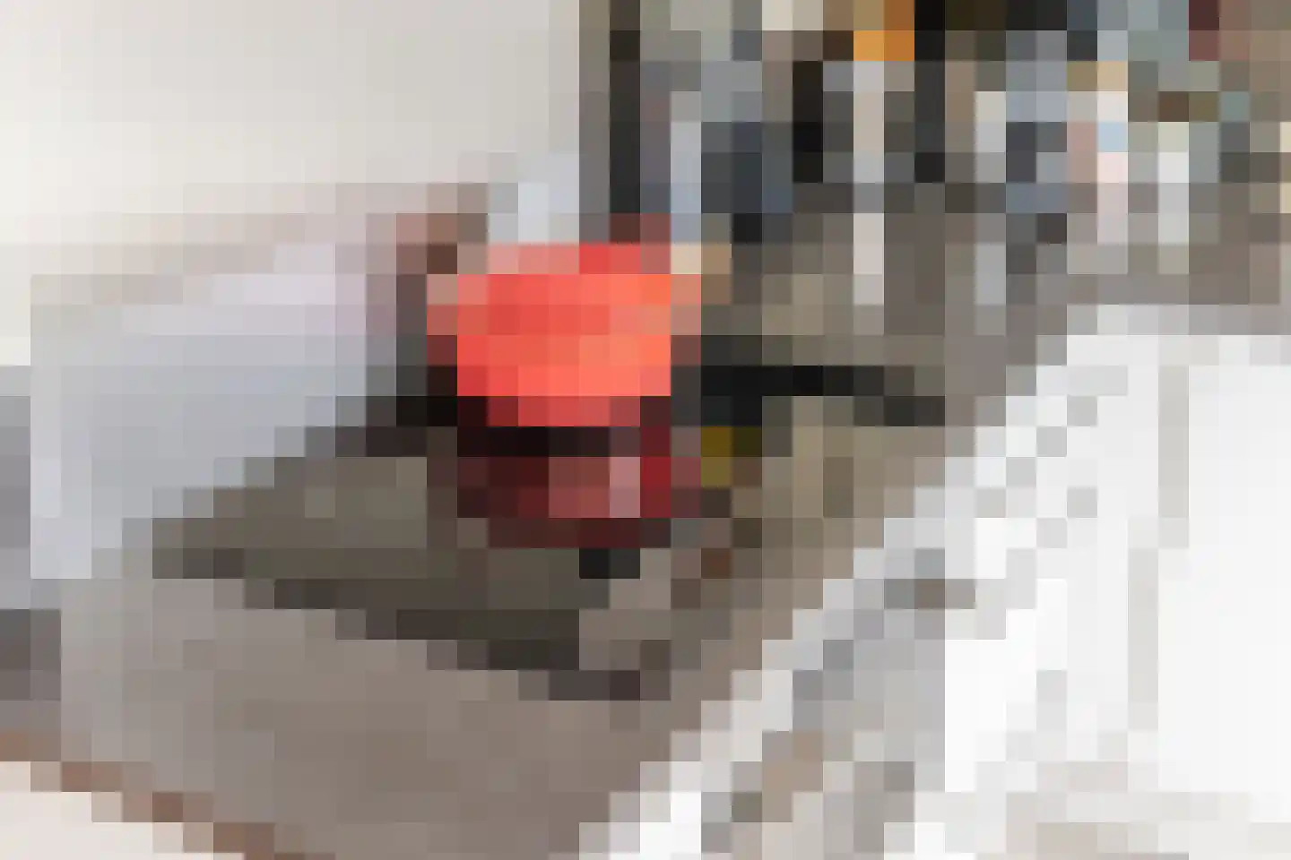 Anton van Duinkerkenstraat 23 Dongen thumbnail 30