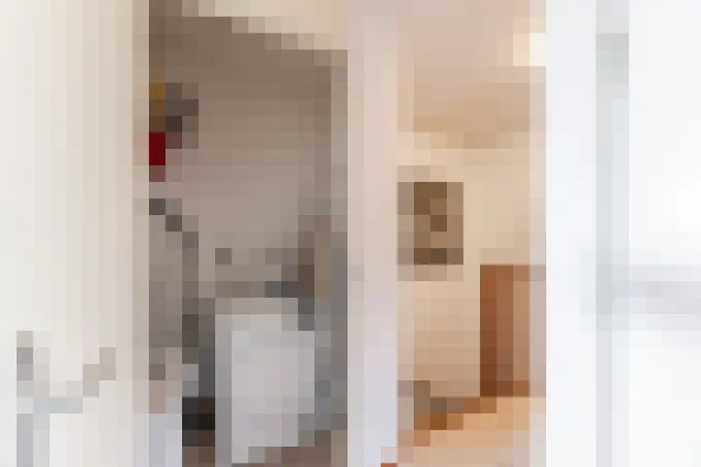 Anton van Duinkerkenstraat 23 Dongen thumbnail 32