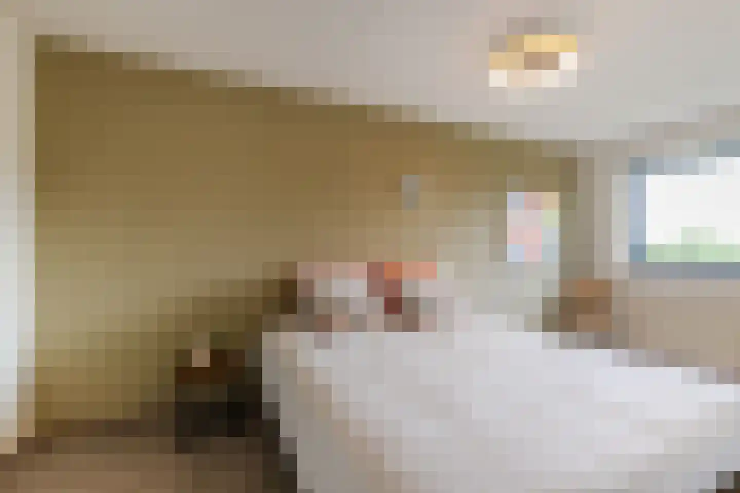 Anton van Duinkerkenstraat 23 Dongen thumbnail 33