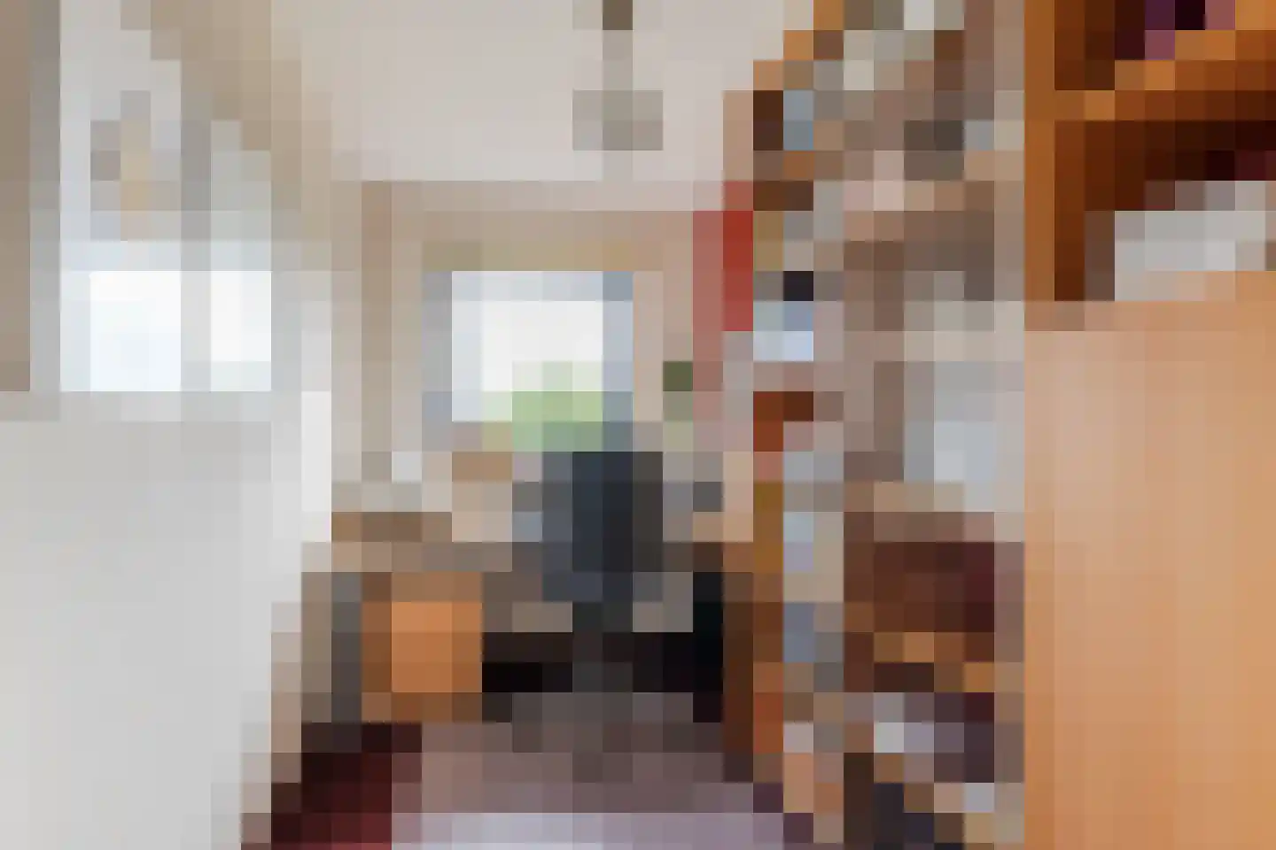 Anton van Duinkerkenstraat 23 Dongen thumbnail 36