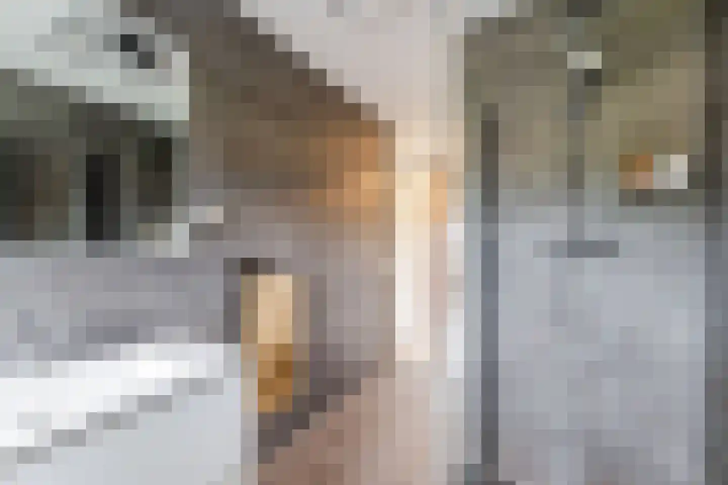 Anton van Duinkerkenstraat 23 Dongen thumbnail 43