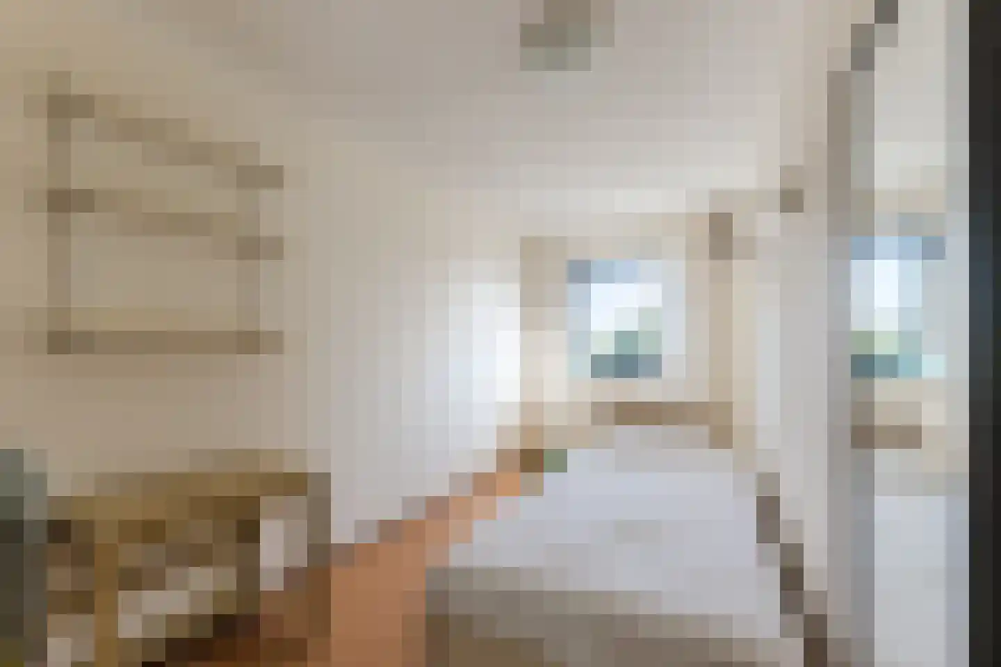 Anton van Duinkerkenstraat 35 Dongen thumbnail 33