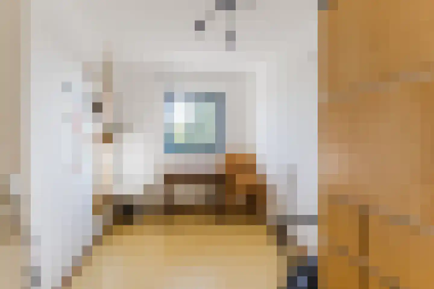Anton van Duinkerkenstraat 35 Dongen thumbnail 34