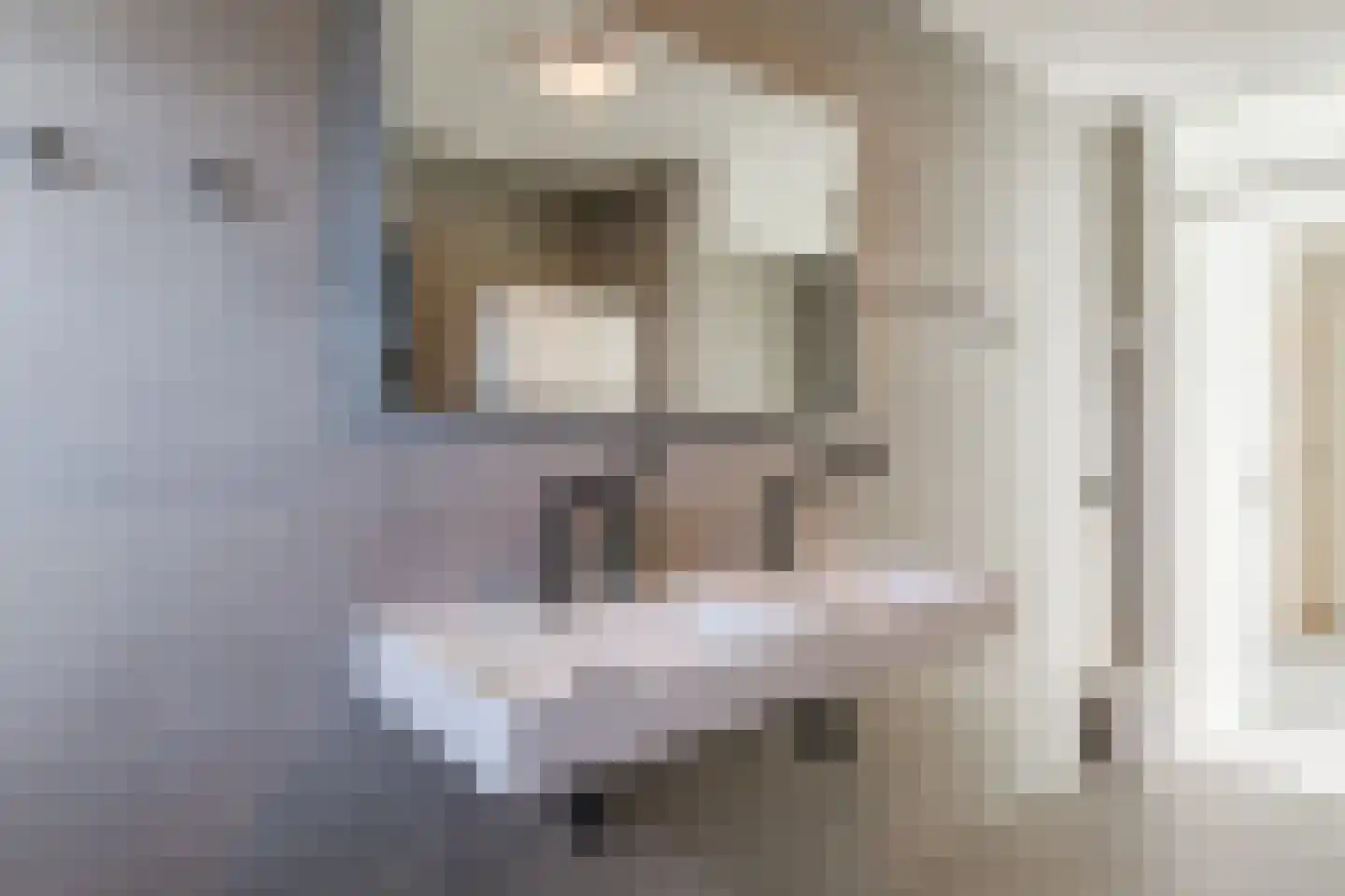 Anton van Duinkerkenstraat 35 Dongen thumbnail 37