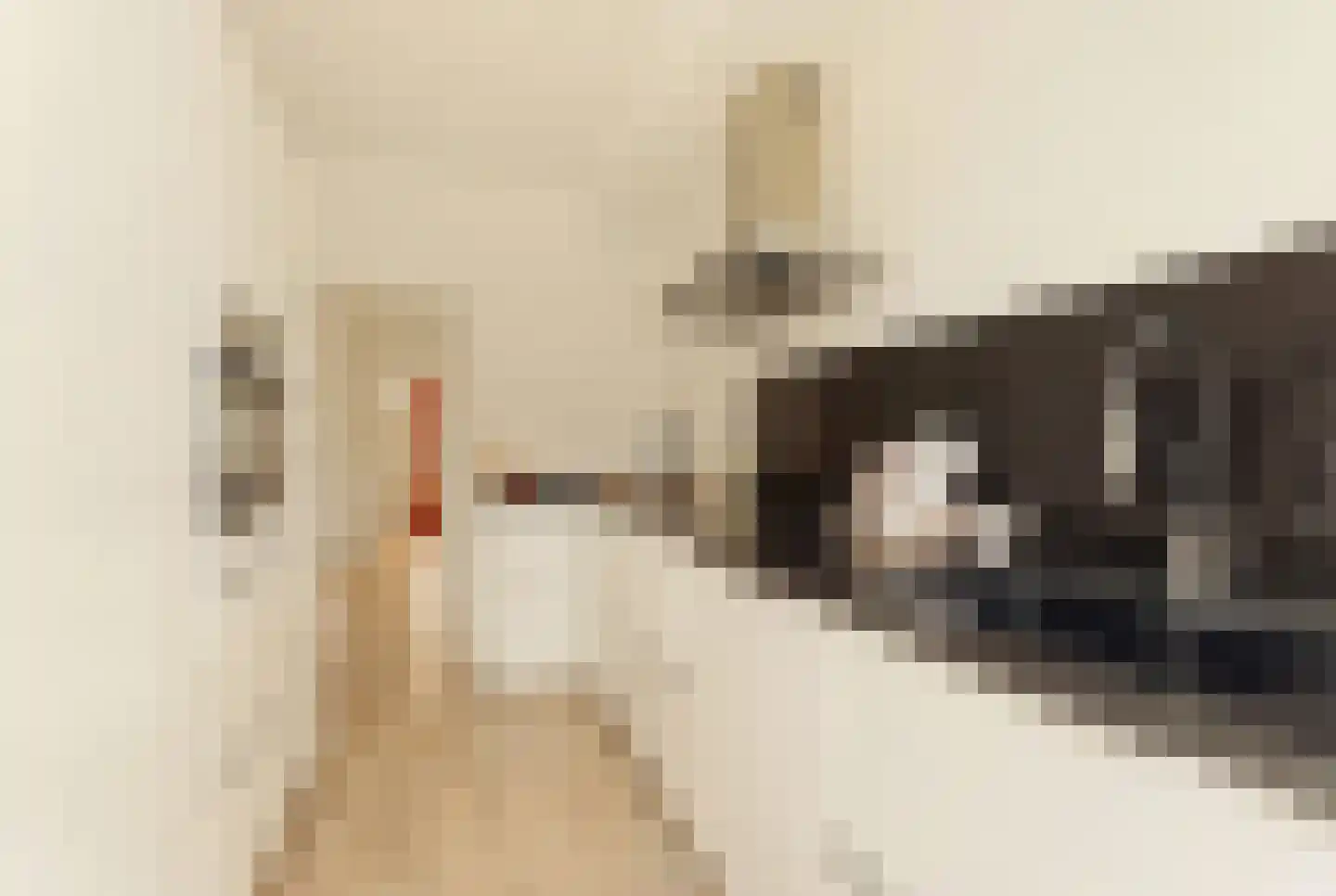 Anton Verheijstraat 14 Amsterdam thumbnail 15