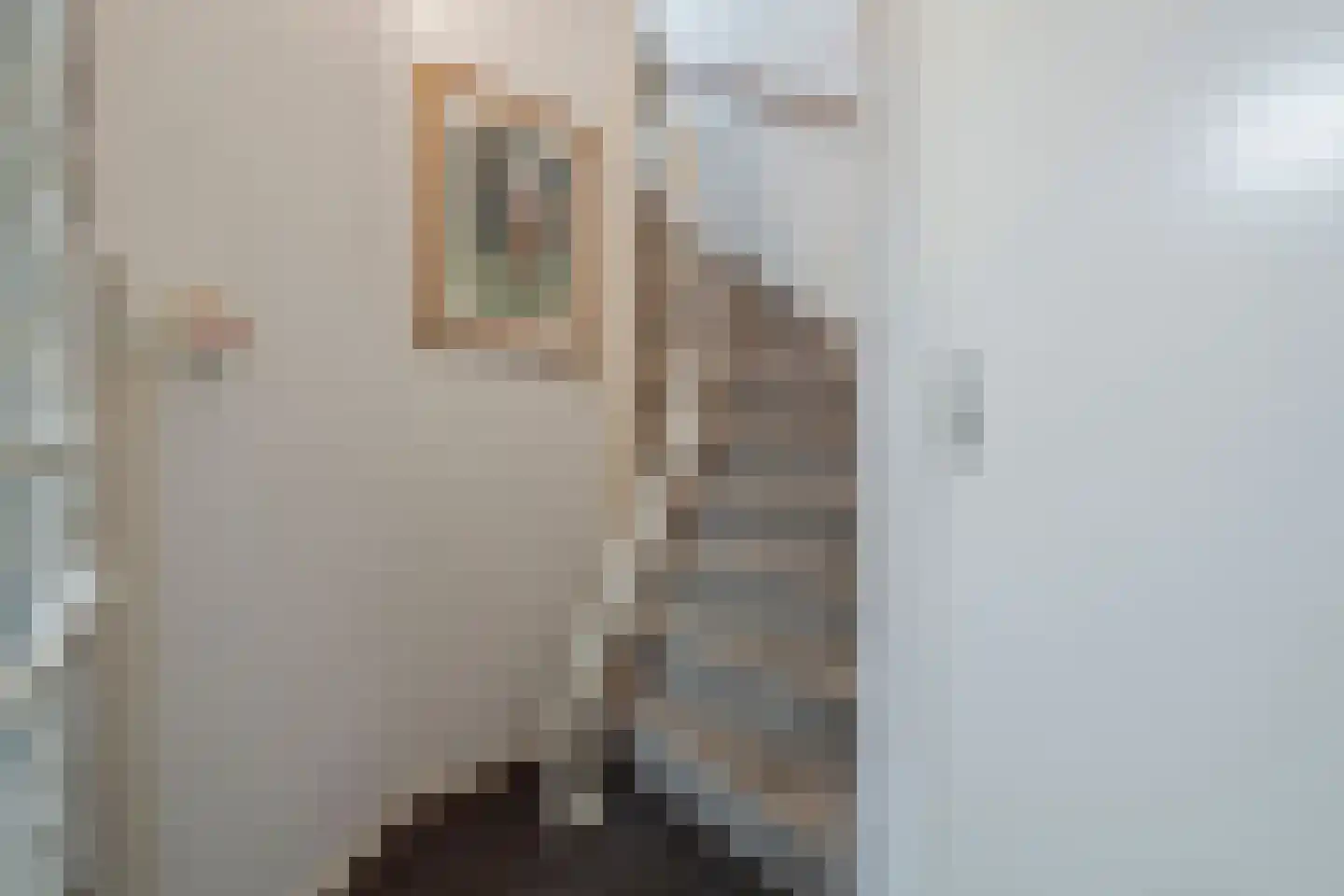 Anton Wachterburg 20 Capelle aan den IJssel thumbnail 8