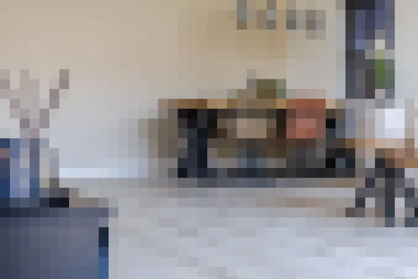 Anton Wachterburg 22 Capelle aan den IJssel thumbnail 15