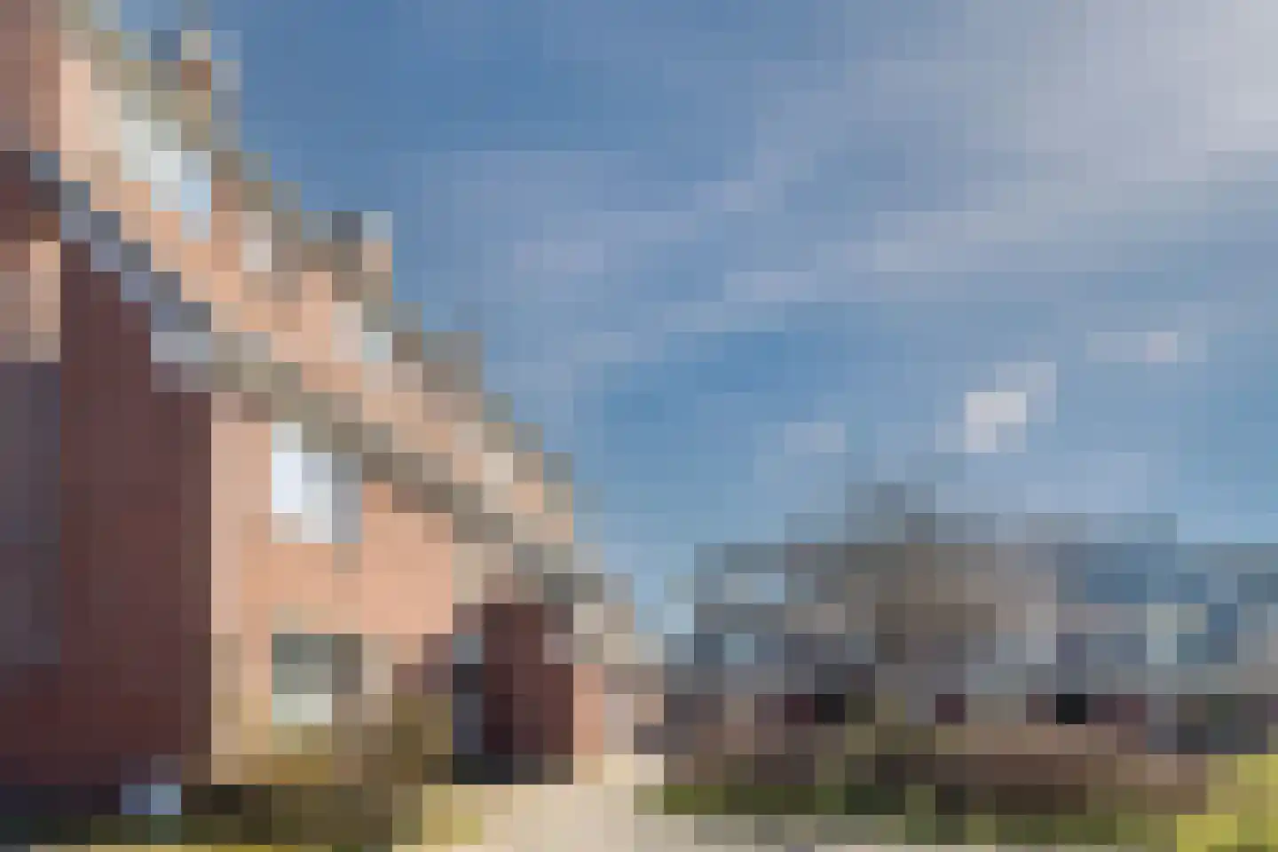 Anton Wachterburg 22 Capelle aan den IJssel thumbnail 37